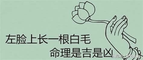 臉上長一根白毛|手毛變長、臉也長毛？為什麼全身毛髮變多？醫：跟3種藥物有關係